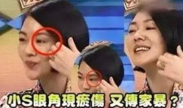 成源家暴爆料视频最新,真相揭露，受害者勇敢发声