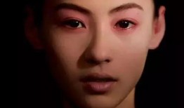 朱皮娱记最新爆料张柏芝,朱皮娱记独家爆料，揭秘明星背后的故事